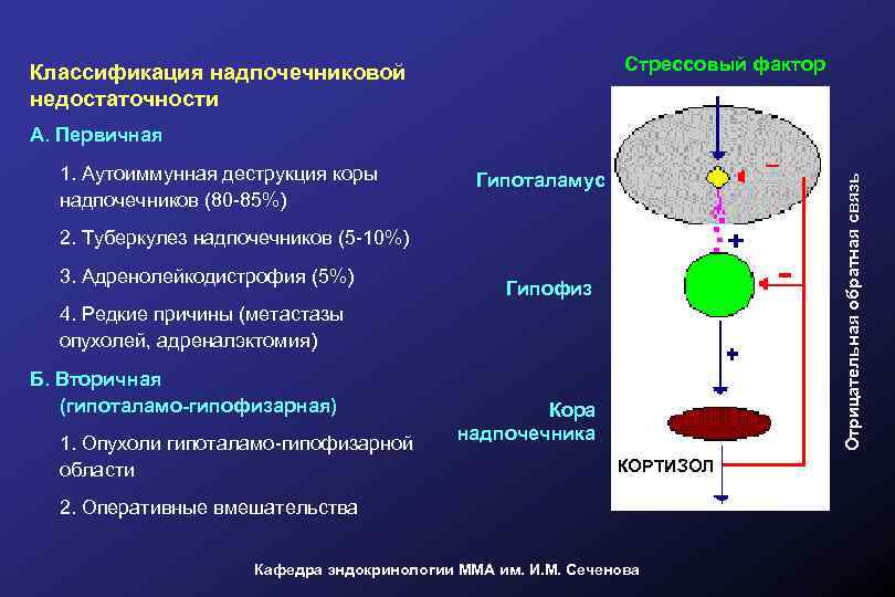 Надпочечниковая недостаточность презентация