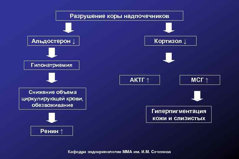 Как снизить кортизол. АКТГ И альдостерон. Повышен АКТГ И кортизол. Патология коры надпочечников. Снижение кортизола и АКТГ.