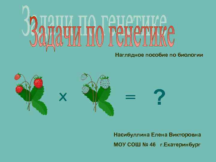 Наглядное пособие по биологии Х = ? Насибуллина Елена Викторовна МОУ СОШ № 46