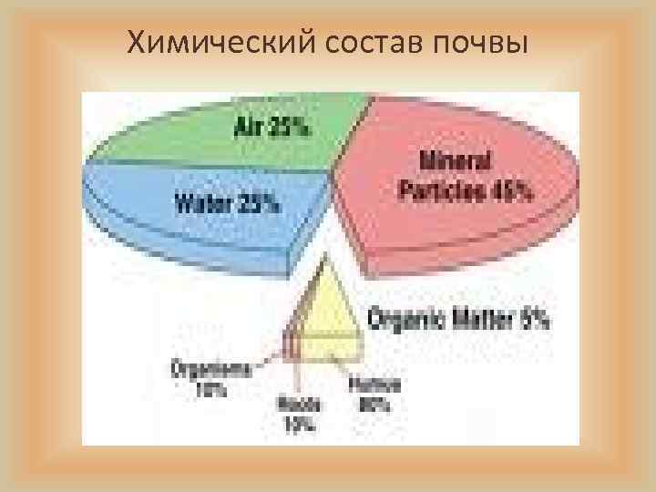 Химический состав почвы 