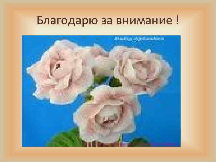 Благодарю за внимание ! 