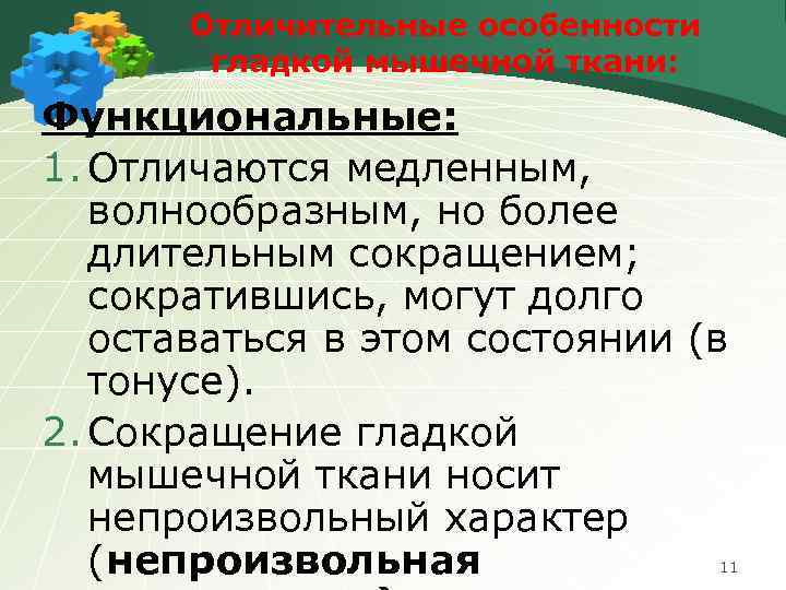 Отличительные особенности гладкой мышечной ткани: Функциональные: 1. Отличаются медленным, волнообразным, но более длительным сокращением;