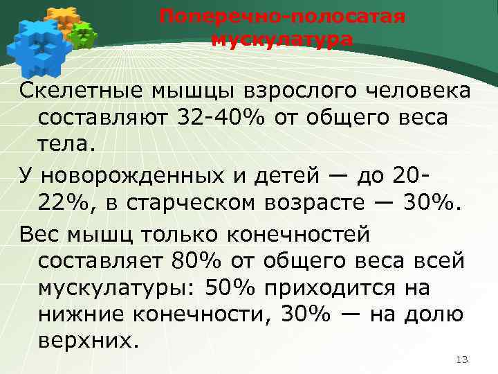 Поперечно-полосатая мускулатура Скелетные мышцы взрослого человека составляют 32 -40% от общего веса тела. У
