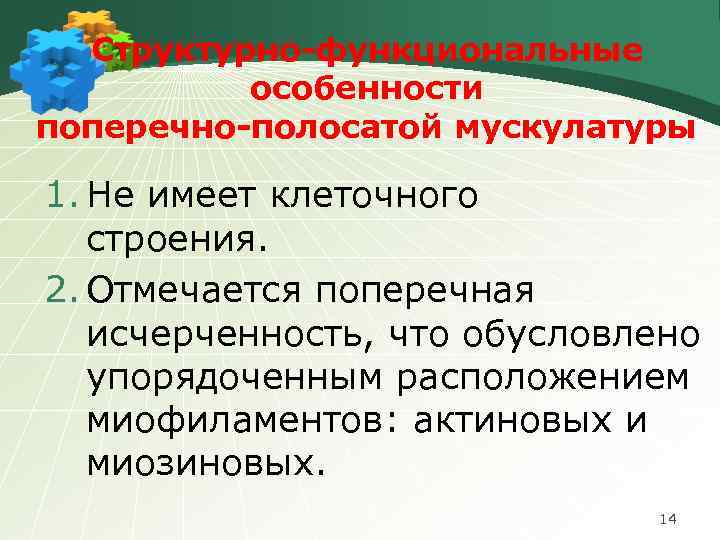 Структурно-функциональные особенности поперечно-полосатой мускулатуры 1. Не имеет клеточного строения. 2. Отмечается поперечная исчерченность, что