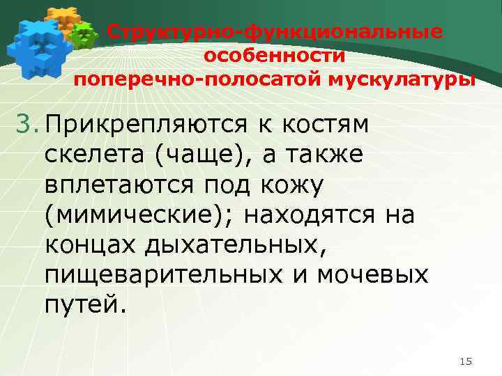 Структурно-функциональные особенности поперечно-полосатой мускулатуры 3. Прикрепляются к костям скелета (чаще), а также вплетаются под