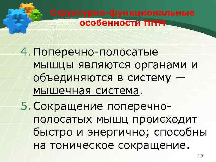 Структурно-функциональные особенности ППМ 4. Поперечно-полосатые мышцы являются органами и объединяются в систему ― мышечная