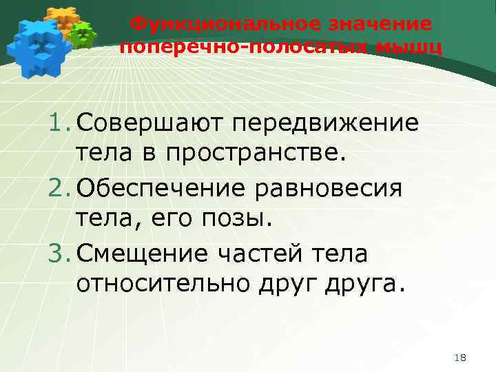 Функциональное значение поперечно-полосатых мышц 1. Совершают передвижение тела в пространстве. 2. Обеспечение равновесия тела,