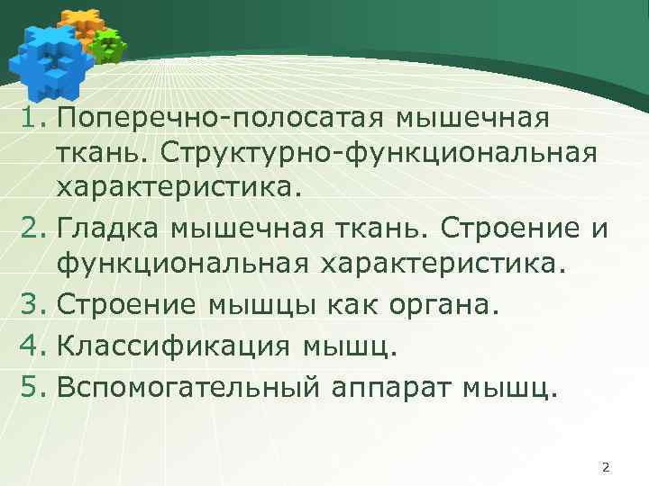 1. Поперечно-полосатая мышечная ткань. Структурно-функциональная характеристика. 2. Гладка мышечная ткань. Строение и функциональная характеристика.