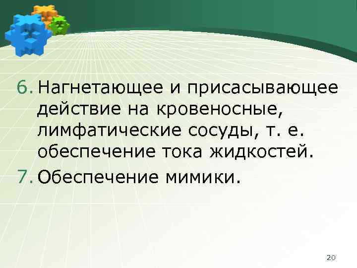 6. Нагнетающее и присасывающее действие на кровеносные, лимфатические сосуды, т. е. обеспечение тока жидкостей.