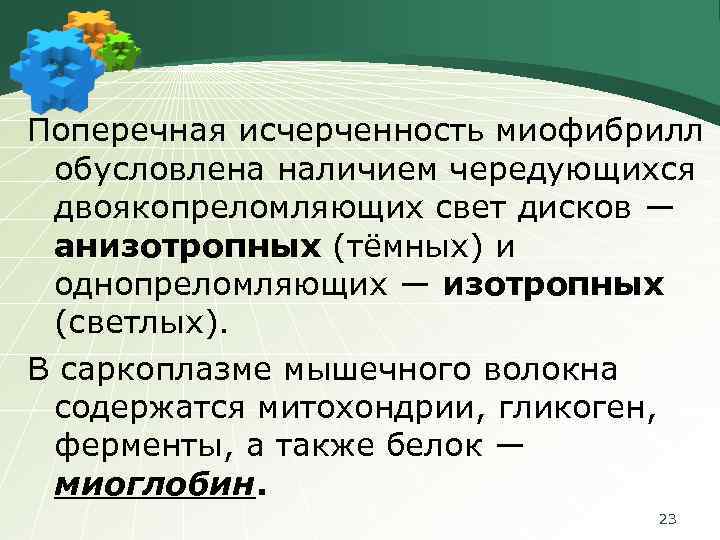 Поперечная исчерченность миофибрилл обусловлена наличием чередующихся двоякопреломляющих свет дисков ― анизотропных (тёмных) и однопреломляющих