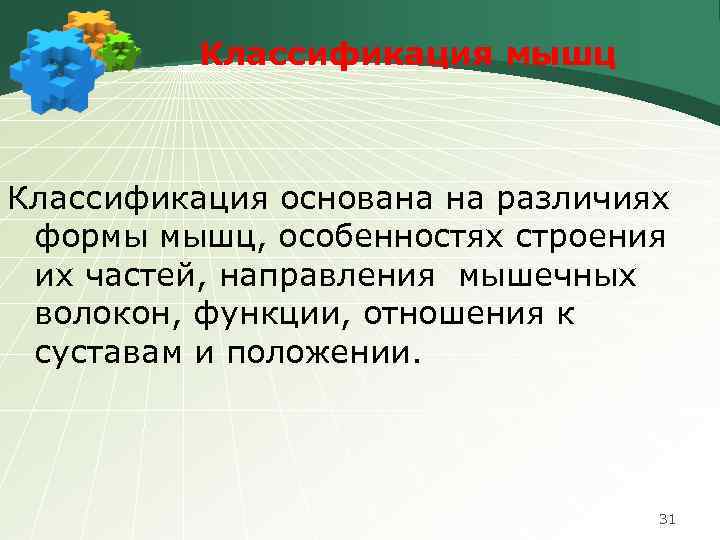 Классификация мышц Классификация основана на различиях формы мышц, особенностях строения их частей, направления мышечных
