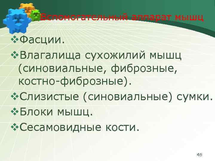 Вспомогательный аппарат мышц v. Фасции. v. Влагалища сухожилий мышц (синовиальные, фиброзные, костно-фиброзные). v. Слизистые