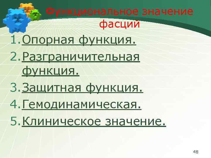 Функциональное значение фасций 1. Опорная функция. 2. Разграничительная функция. 3. Защитная функция. 4. Гемодинамическая.