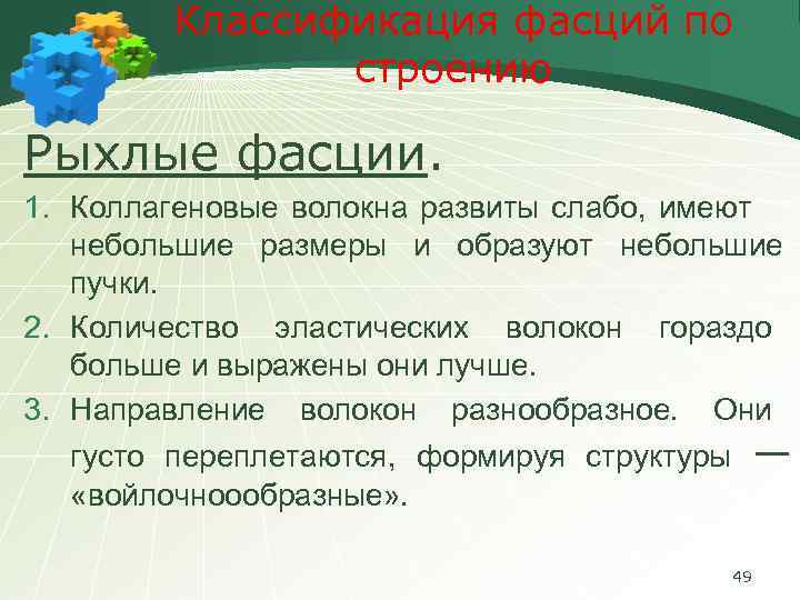 Классификация фасций по строению Рыхлые фасции. 1. Коллагеновые волокна развиты слабо, имеют небольшие размеры