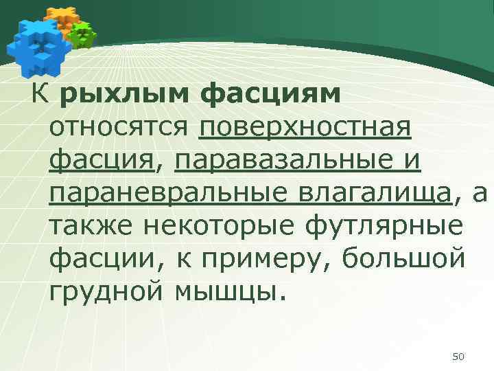К рыхлым фасциям относятся поверхностная фасция, паравазальные и параневральные влагалища, а также некоторые футлярные