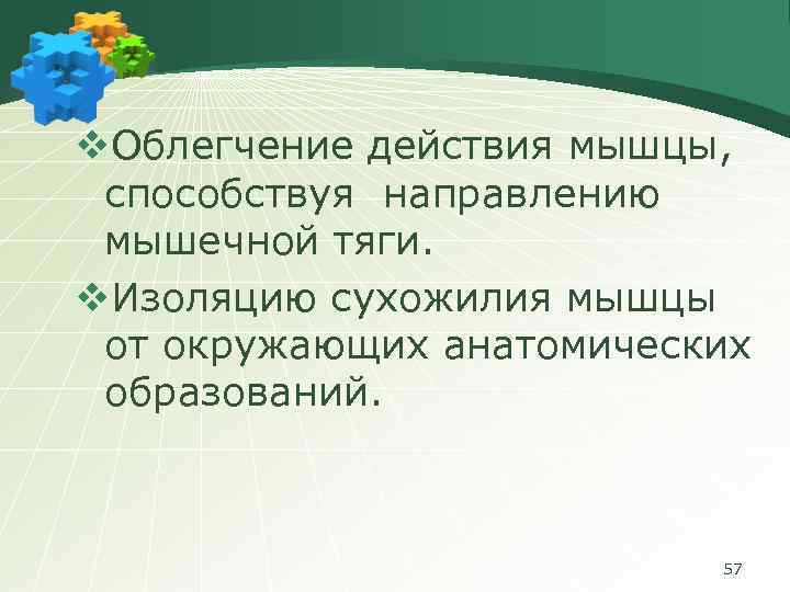 v. Облегчение действия мышцы, способствуя направлению мышечной тяги. v. Изоляцию сухожилия мышцы от окружающих