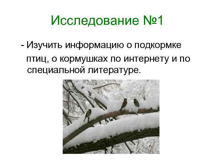 Исследование № 1 - Изучить информацию о подкормке птиц, о кормушках по интернету и