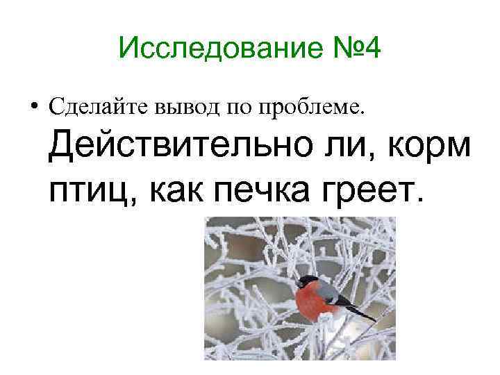 Исследование № 4 • Сделайте вывод по проблеме. Действительно ли, корм птиц, как печка