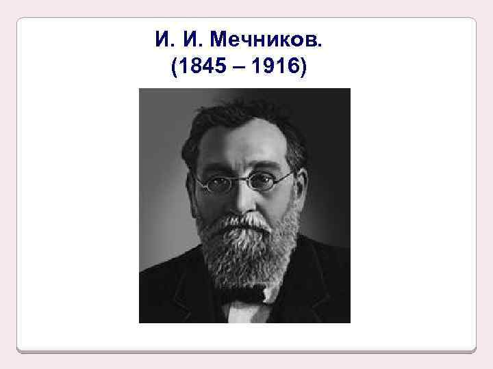 И. И. Мечников. (1845 – 1916) 
