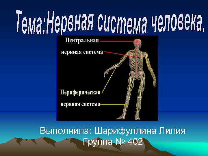 Выполнила: Шарифуллина Лилия Группа № 402 