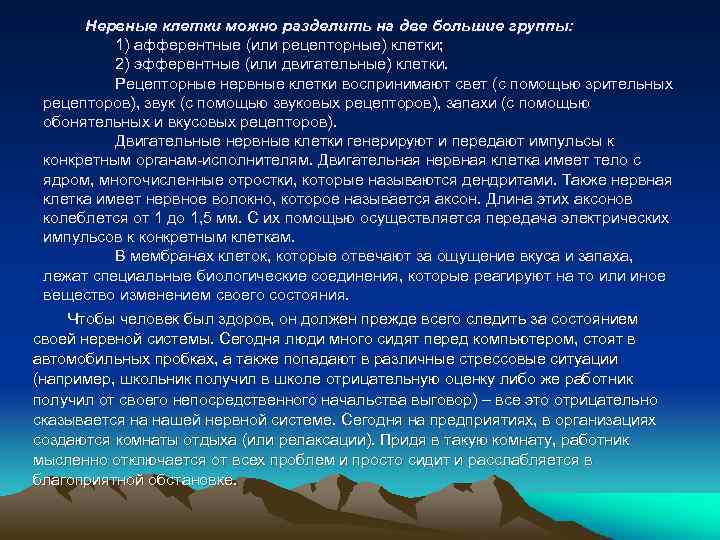 Нервные клетки можно разделить на две большие группы: 1) афферентные (или рецепторные) клетки; 2)