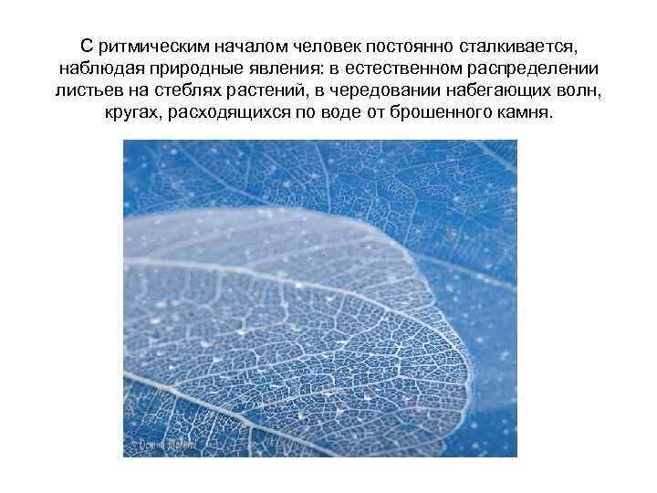 С ритмическим началом человек постоянно сталкивается, наблюдая природные явления: в естественном распределении листьев на