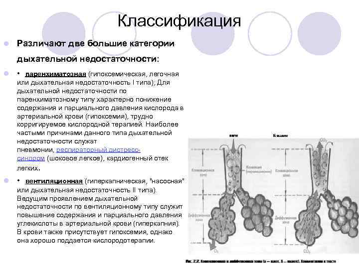 Классификация l Различают две большие категории дыхательной недостаточности: l • паренхиматозная (гипоксемическая, легочная или