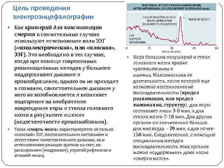 Цель проведения электроэнцефалографии Как критерий для констатации смерти в сомнительных случаях используют исчезновение волн