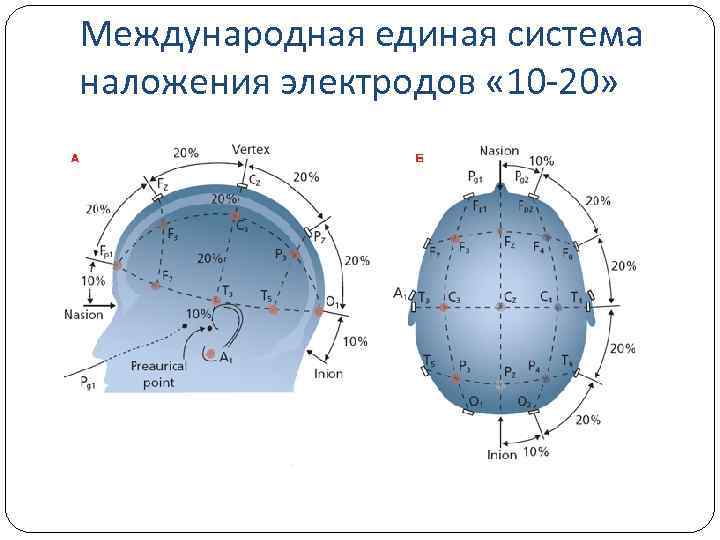 Международная единая система наложения электродов « 10 -20» 