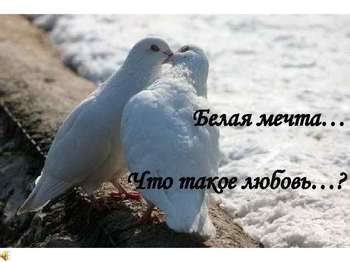 Белая мечта… Что такое любовь…? 