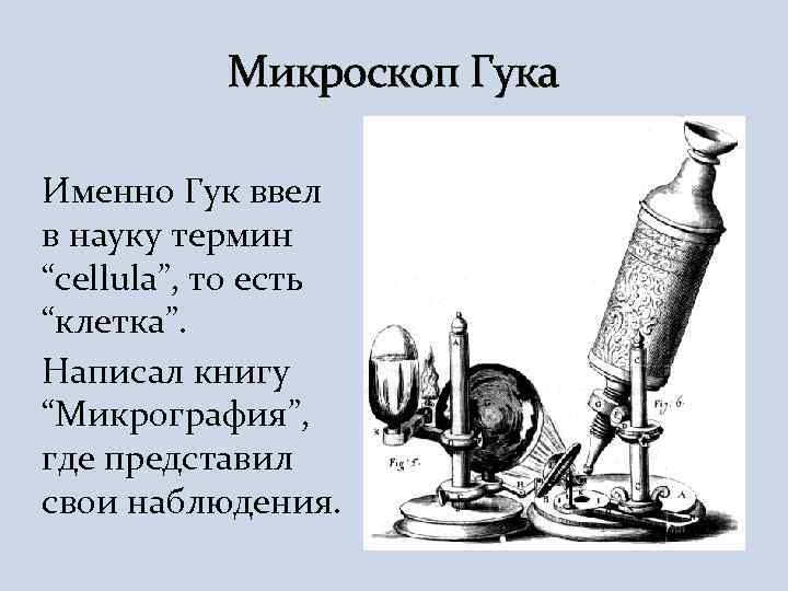 Микроскоп гука фото