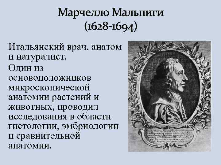 Термин новое время в италии. Марчелло Мальпиги (1628—1694). Марчелло Мальпиги вклад. М Мальпиги вклад в биологию. Мальпиги Марчелло эмбриология.