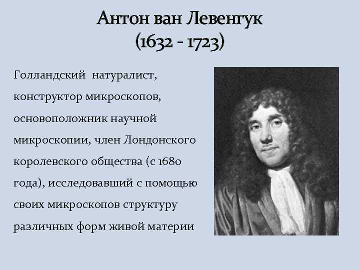 Нидерландский натуралист. Голландец Антони Ван Левенгук. Левенгук 1680 открыл. Антони Ван Левенгук натуралист. Антони Ван Левенгук портрет.