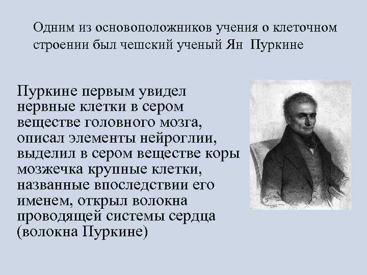 Кто был основоположником учения о. Основоположник учения о клетке. Один из основоположников. Вклад Пуркине в учение о клетке. Вклад ученых в учение о клетках.