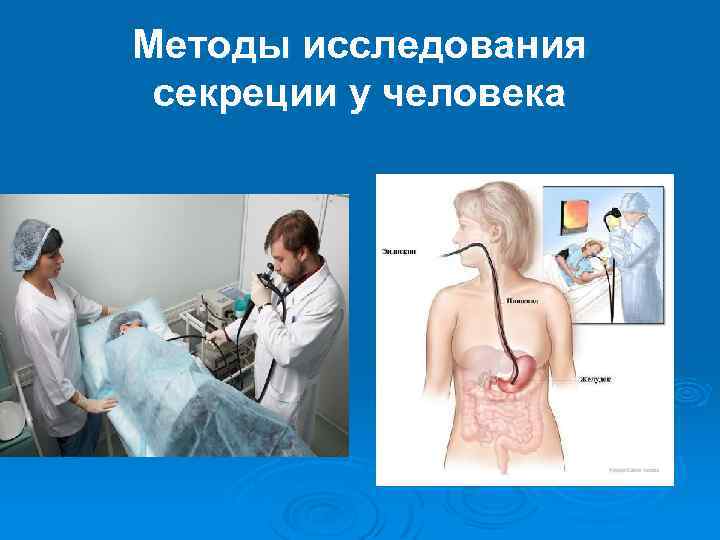 Методы исследования секреции у человека 