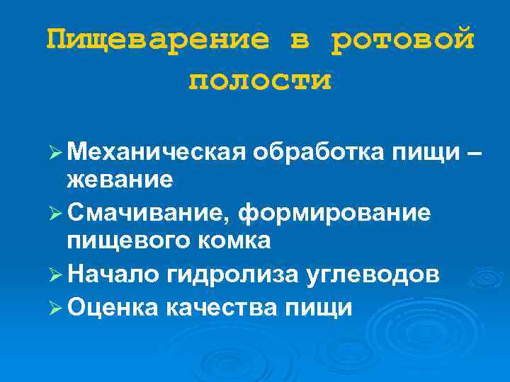 Пищеварение в ротовой полости Ø Механическая обработка пищи – жевание Ø Смачивание, формирование пищевого