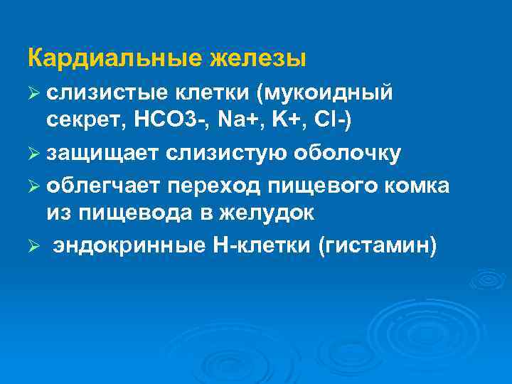 Кардиальные железы Ø слизистые клетки (мукоидный секрет, HCO 3 -, Na+, K+, Cl-) Ø