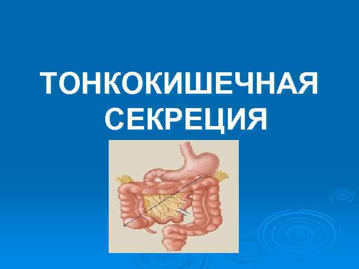 ТОНКОКИШЕЧНАЯ СЕКРЕЦИЯ 