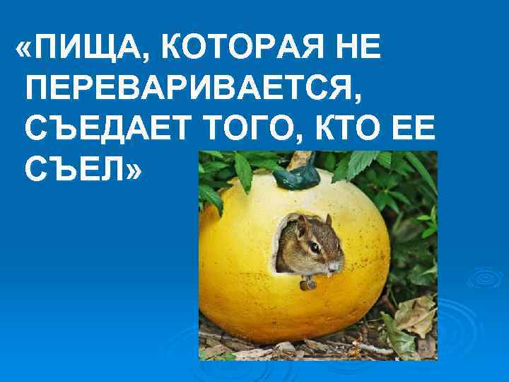  «ПИЩА, КОТОРАЯ НЕ ПЕРЕВАРИВАЕТСЯ, СЪЕДАЕТ ТОГО, КТО ЕЕ СЪЕЛ» 