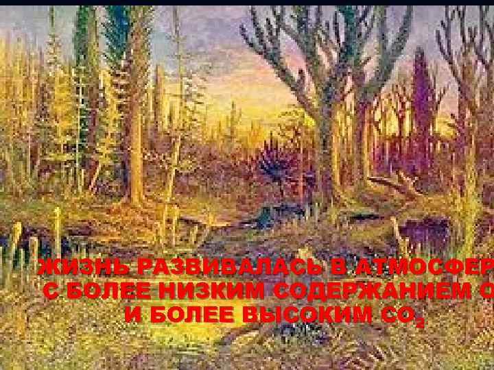ЖИЗНЬ РАЗВИВАЛАСЬ В АТМОСФЕР С БОЛЕЕ НИЗКИМ СОДЕРЖАНИЕМ О И БОЛЕЕ ВЫСОКИМ СО 2