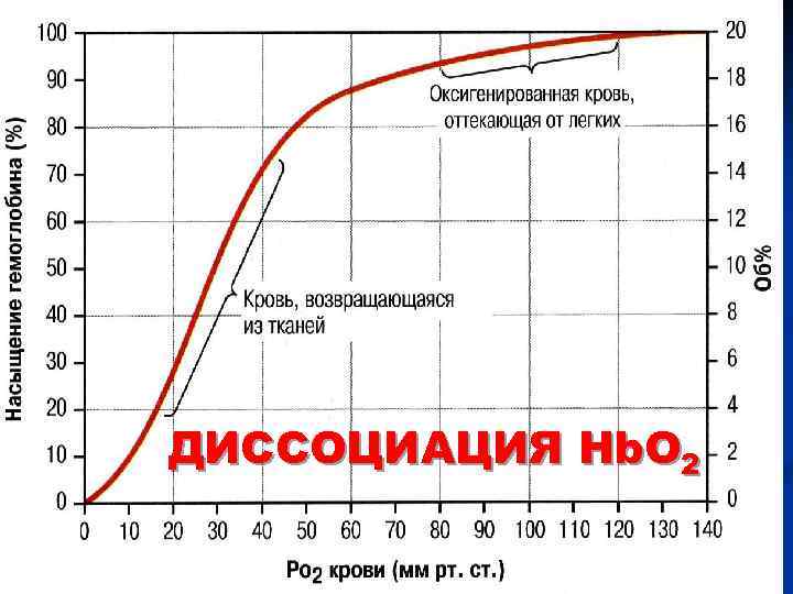 ДИССОЦИАЦИЯ Hb. O 2 
