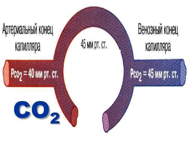 C О 2 