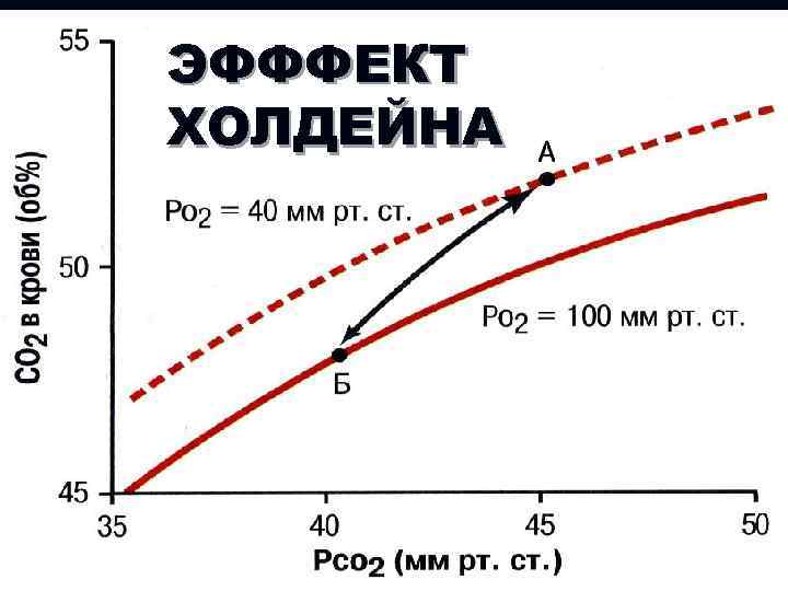 ЭФФФЕКТ ХОЛДЕЙНА 