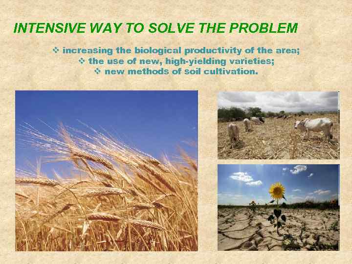 INTENSIVE WAY TO SOLVE THE PROBLEM v increasing the biological productivity of the area;
