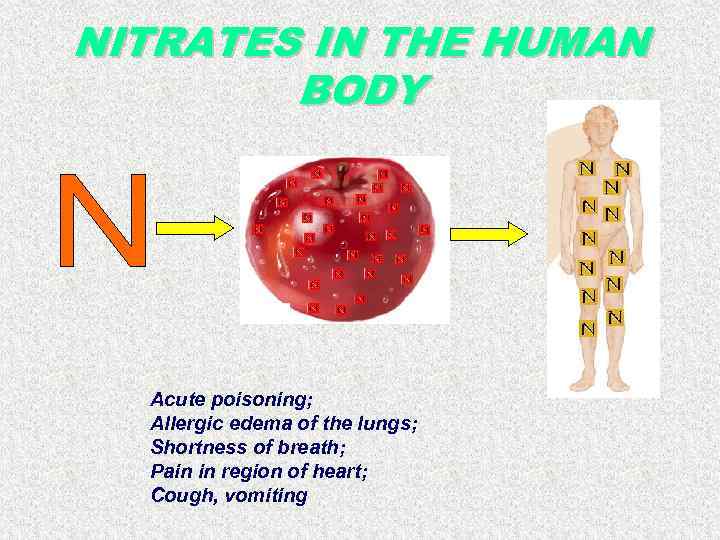 NITRATES IN THE HUMAN BODY Acute poisoning; Allergic edema of the lungs; Shortness of