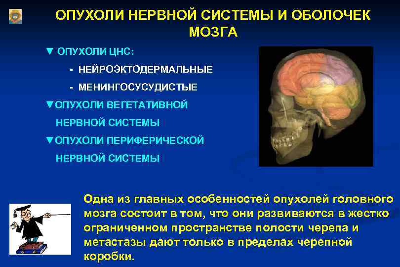 ОПУХОЛИ НЕРВНОЙ СИСТЕМЫ И ОБОЛОЧЕК МОЗГА ▼ ОПУХОЛИ ЦНС: - НЕЙРОЭКТОДЕРМАЛЬНЫЕ - МЕНИНГОСУСУДИСТЫЕ ▼ОПУХОЛИ