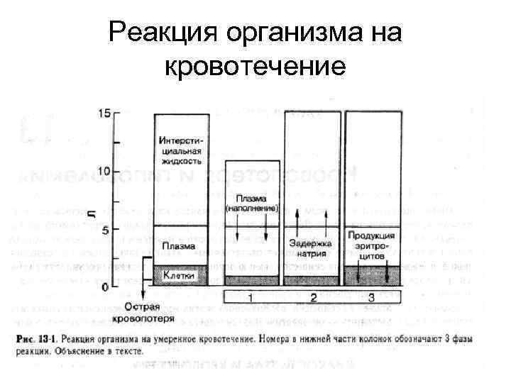 Реакция организма на кровотечение 