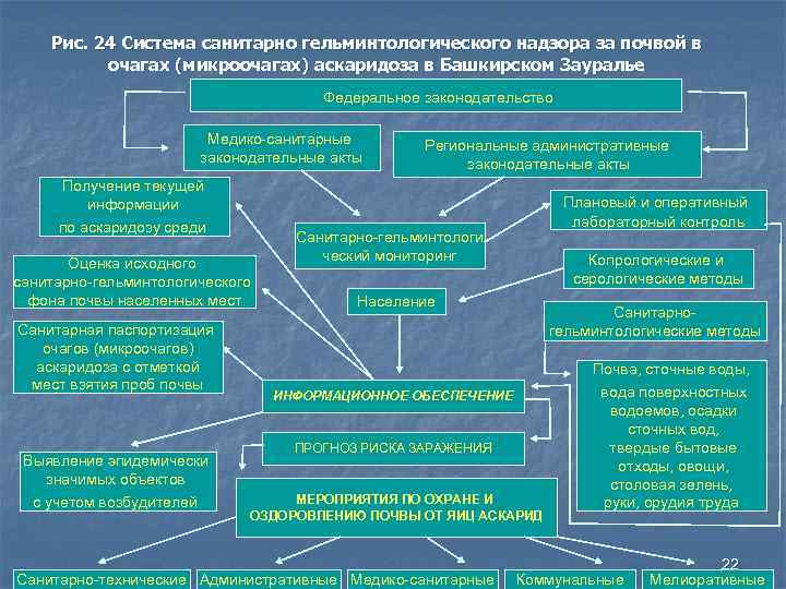 Рис. 24 Система санитарно гельминтологического надзора за почвой в очагах (микроочагах) аскаридоза в Башкирском