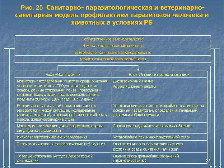 Рис. 25 Санитарно- паразитологическая и ветеринарносанитарная модель профилактики паразитозов человека и животных в условиях