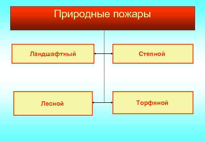 Природные пожары Ландшафтный Степной Лесной Торфяной 